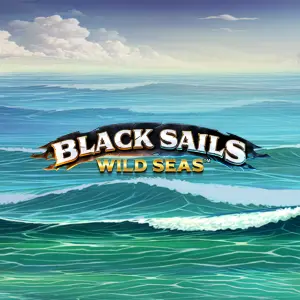 Black Sails Wild Seas